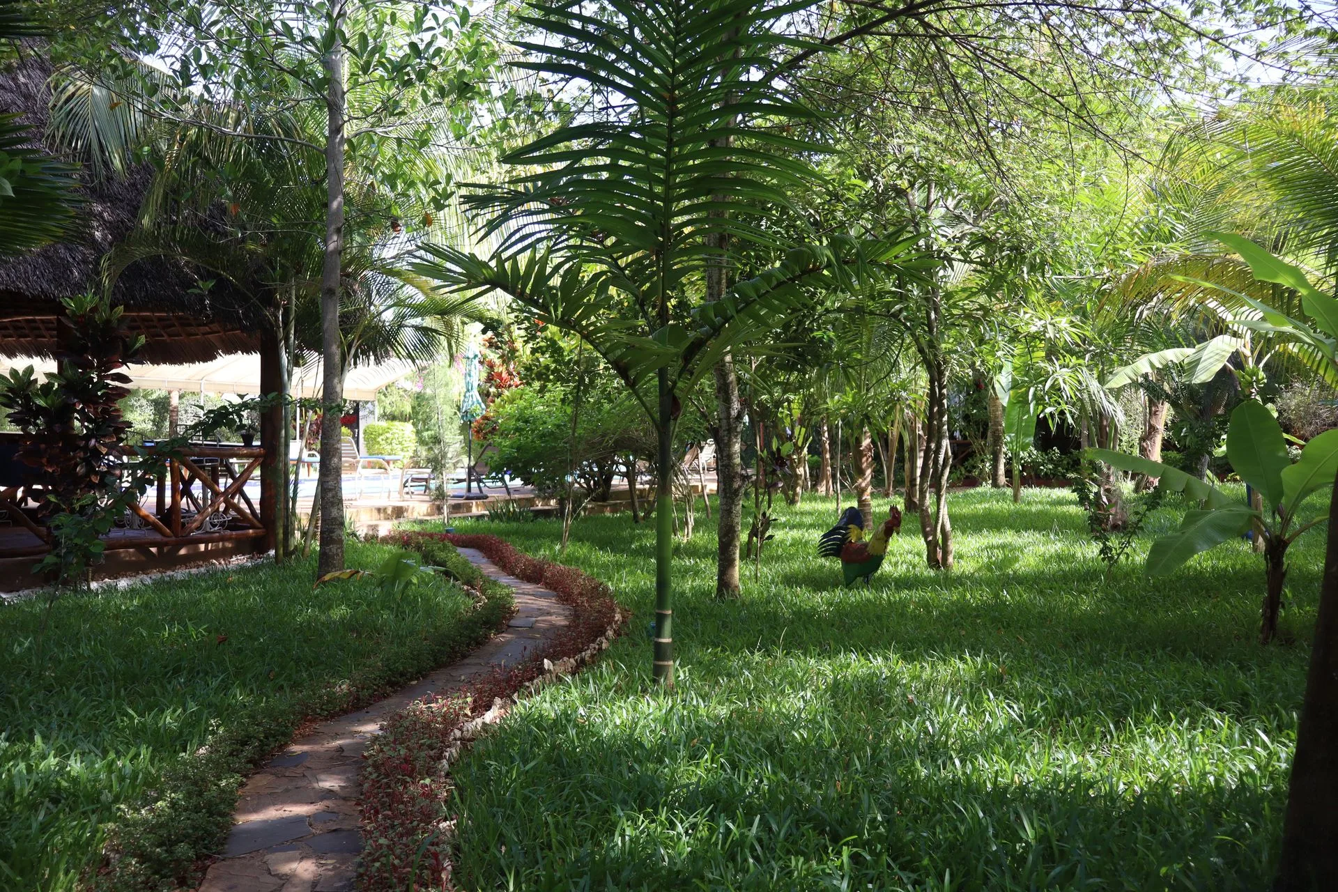Tropical garden path through palms at Hamia Zanzibar