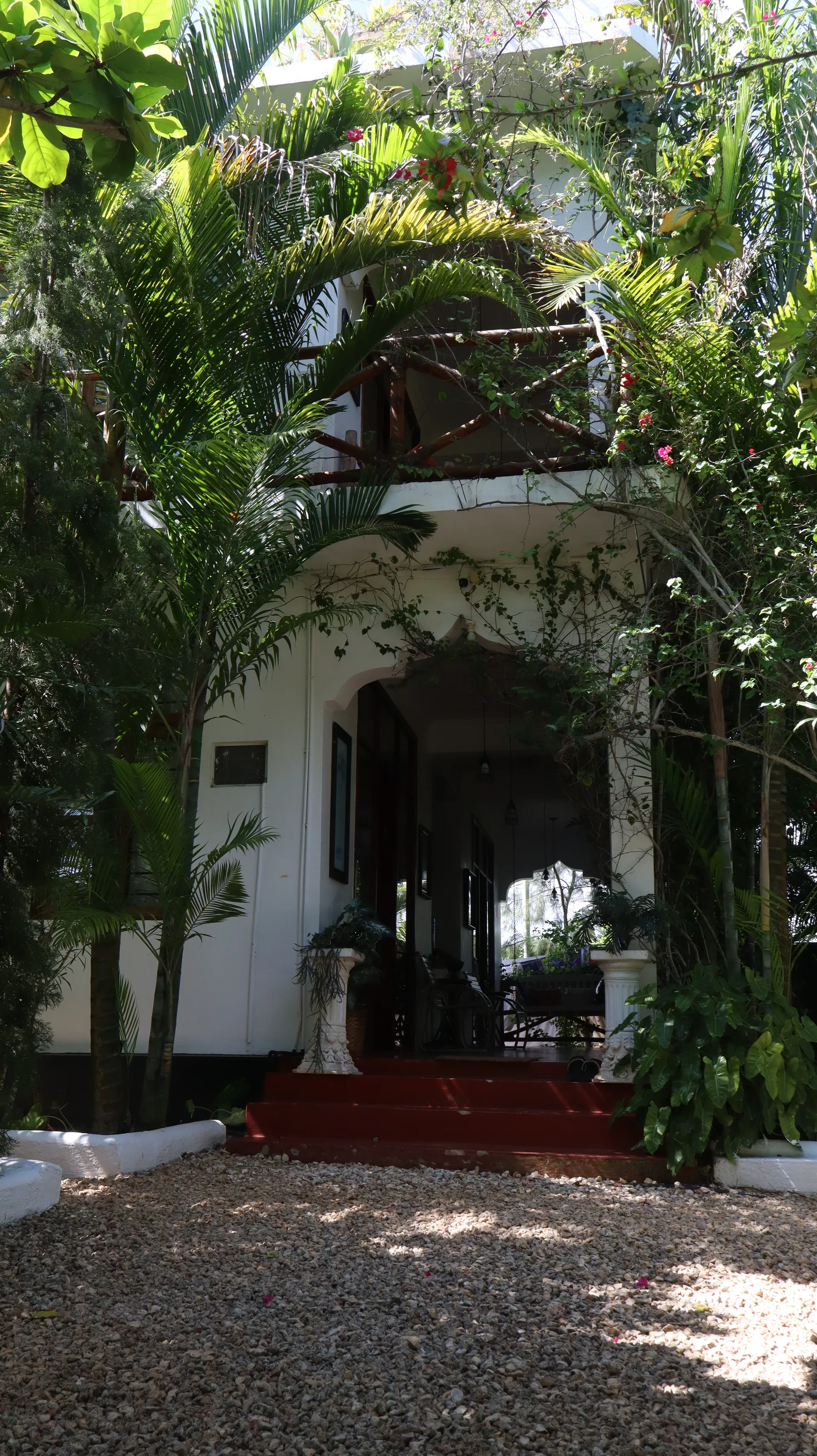 Villa entrance framed by tropical plants at Hamia Zanzibar