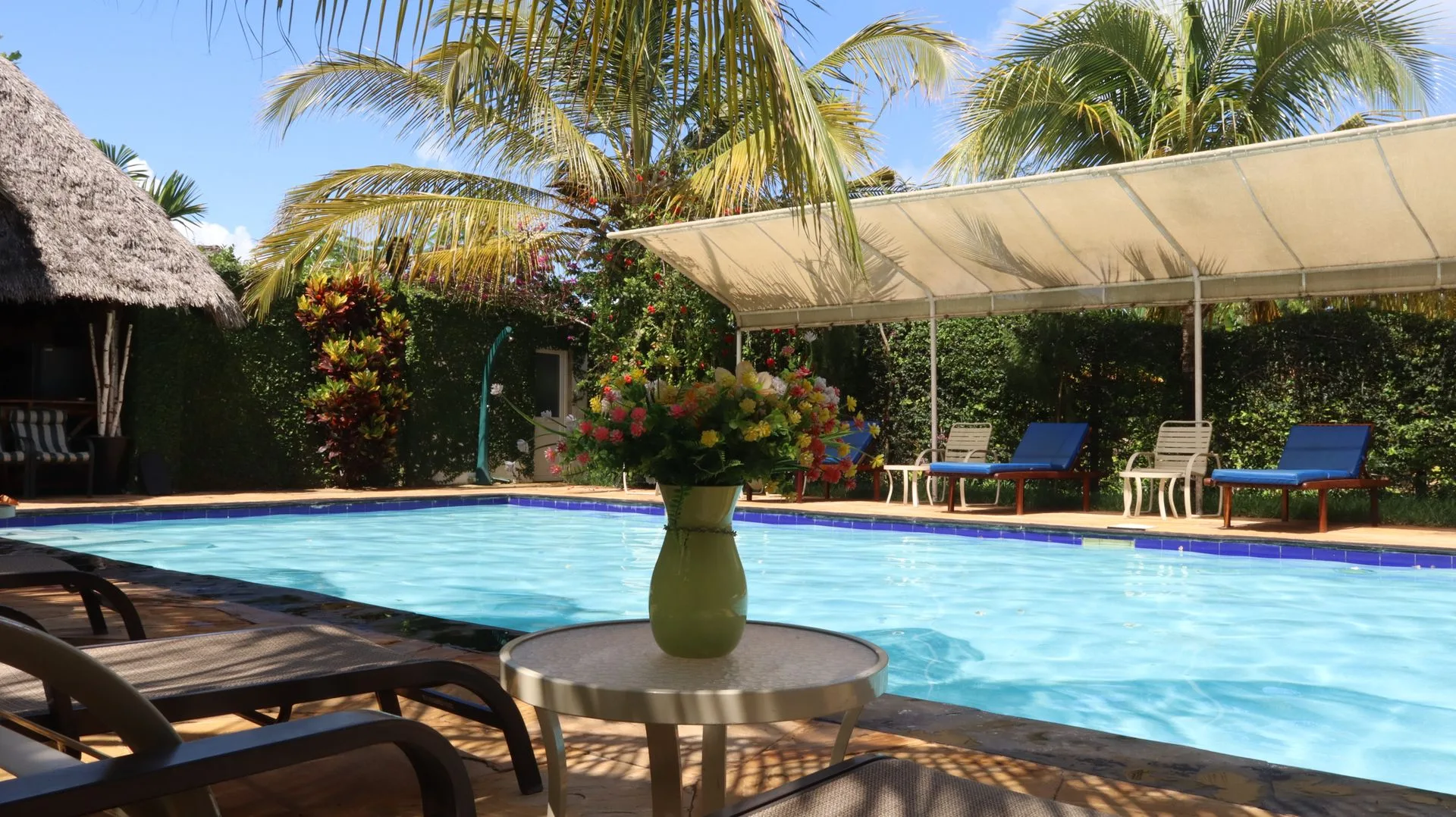 Pool with flower arrangement and deck chairs at Hamia Zanzibar