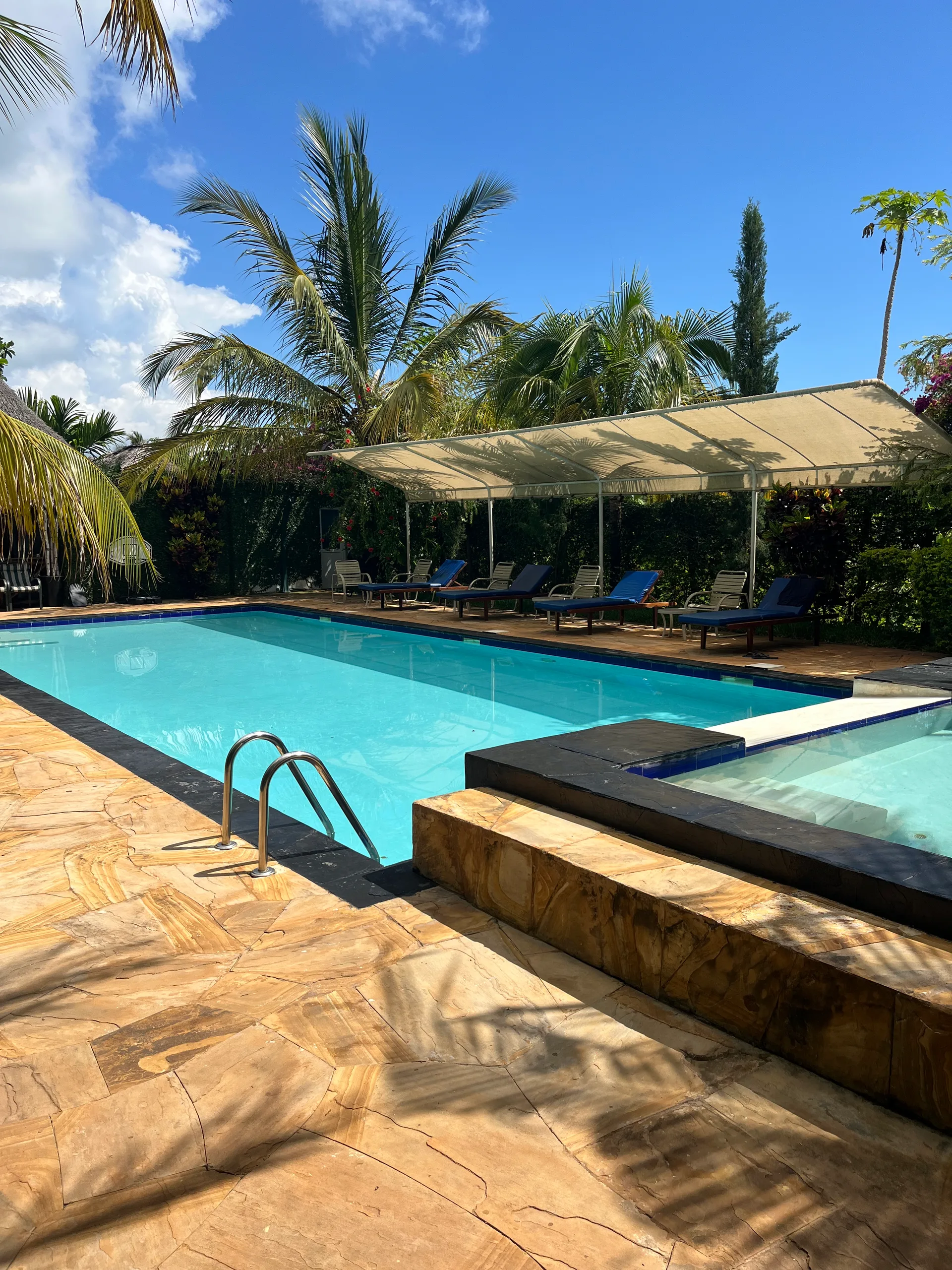 Private pool with jacuzzi, palm trees and blue sky at Hamia Zanzibar