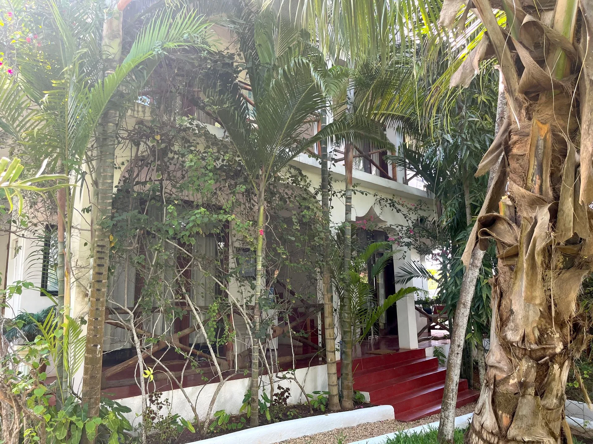 The front of Hamia Zanzibar villa glimpsed through tropical palms and bougainvillea