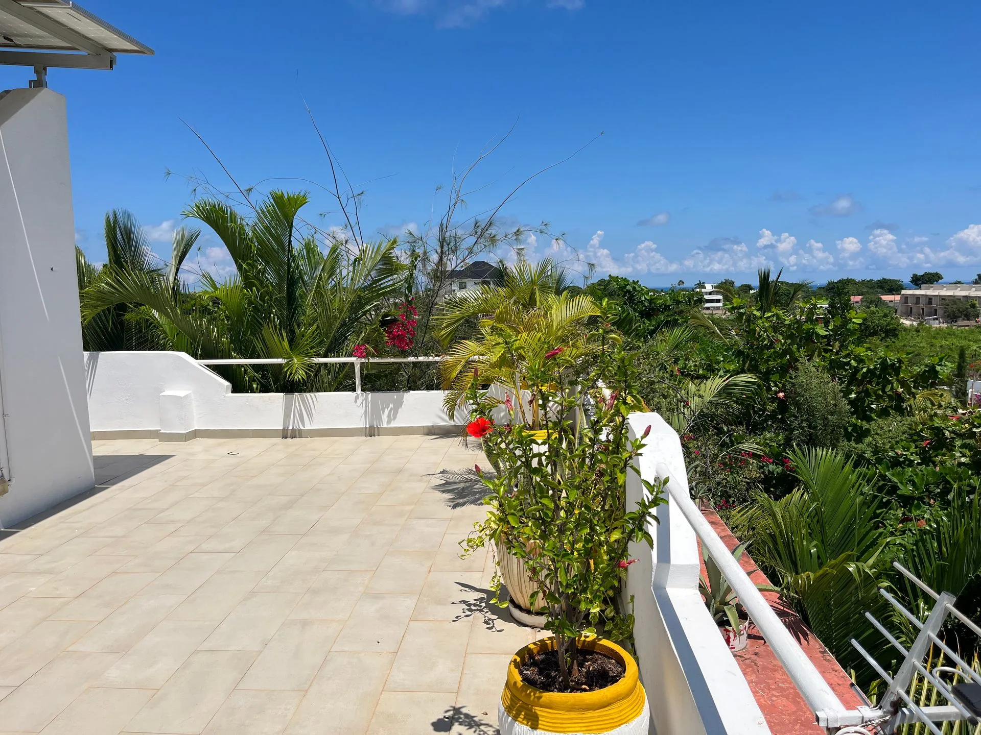 Rooftop terrace at Hamia Zanzibar looking out over tropical gardens and palm trees toward the ocean